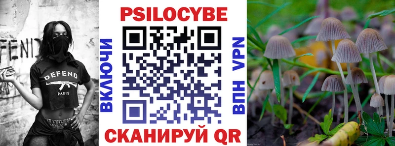 Псилоцибиновые грибы Psilocybine cubensis  закладки  Новый Уренгой 
